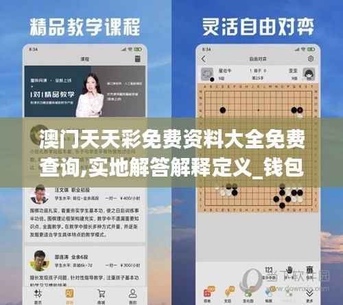 澳门天天彩免费资料大全免费查询,实地解答解释定义_钱包版7.994