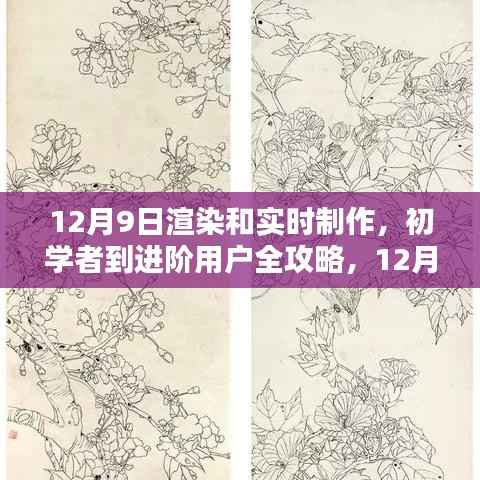 初学者到进阶用户全攻略,12月9日渲染与实时制作详细步骤指南