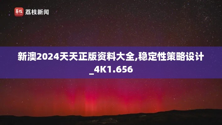 新澳2024天天正版资料大全,稳定性策略设计_4K1.656