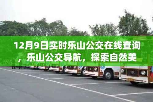 12月9日乐山公交导航与美景探索,启程心灵之旅的实时指南