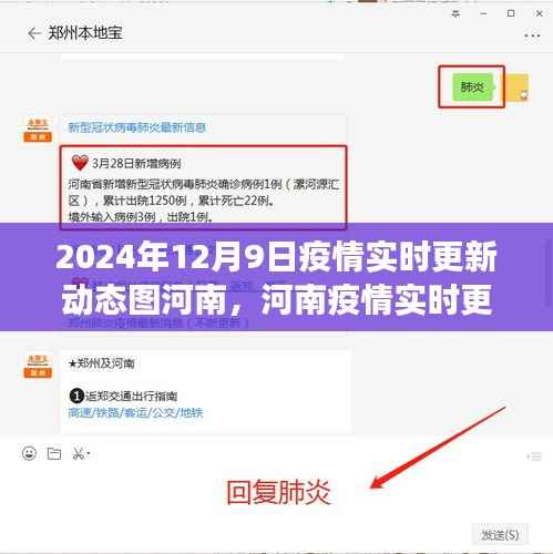 河南疫情实时更新动态图,聚焦2024年12月9日的新进展与动态分析