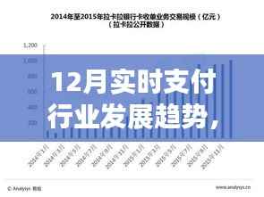 揭秘十二月实时支付行业三大发展趋势的预测报告