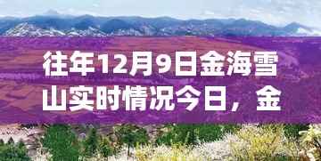 金海雪山奇遇,温馨故事与实时记录揭秘的奇遇日