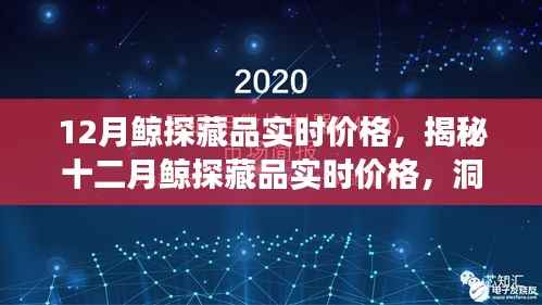 十二月鲸探藏品实时价格揭秘,市场趋势洞察