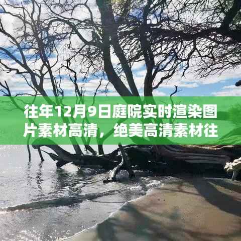 往年12月9日庭院实时渲染高清图片，领略冬日庭院的独特魅力