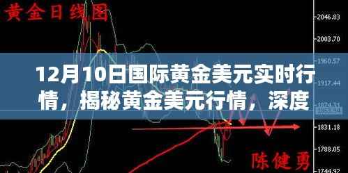 揭秘黄金美元行情,深度解析十二月十日国际黄金美元实时行情报告
