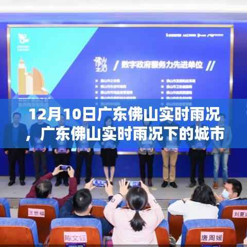 广东佛山实时雨况下的城市治理观点探讨,雨情分析与实践策略