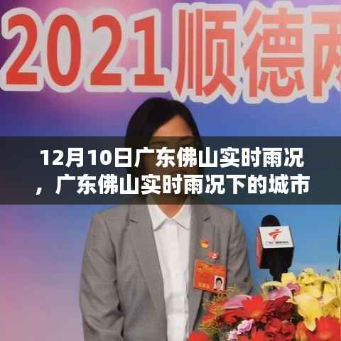 广东佛山实时雨况下的城市治理观点探讨,雨情分析与实践策略