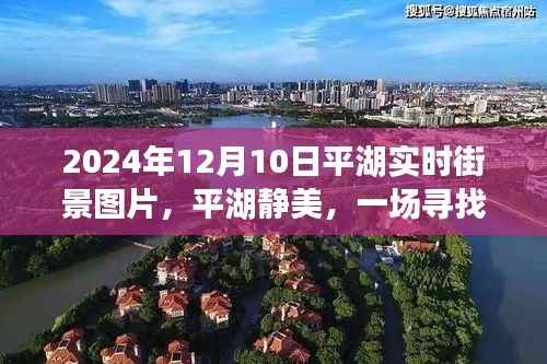 平湖静美之旅,寻找内心平静的街景美图(平湖实时街景图片,2024年12月10日)
