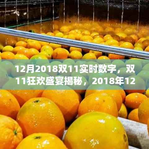 揭秘双11狂欢盛宴,实时数字背后的故事,双11 2018年年终大促盛况揭晓