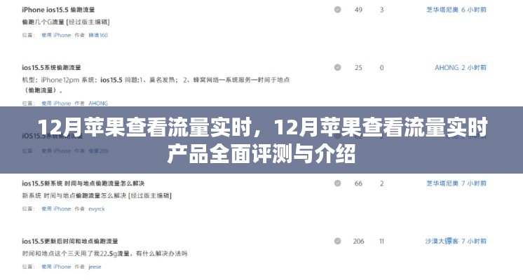 12月苹果流量实时查看功能全面解析与产品评测