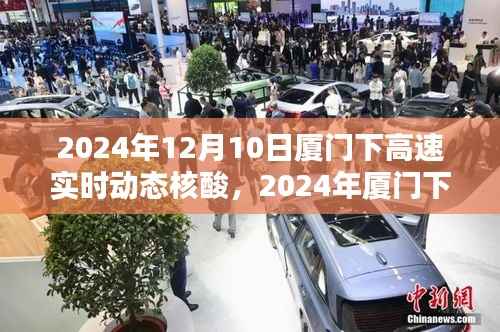 2024年厦门下高速实时动态核酸检测指南,适合初学者与进阶用户