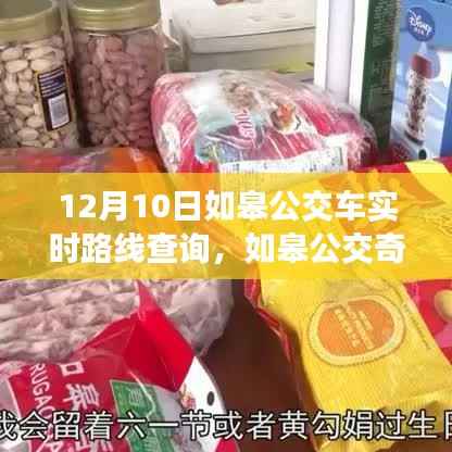 如皋公交奇遇记，暖心之旅的实时路线查询
