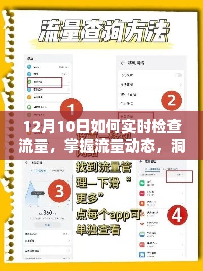 12月10日实时流量监控攻略,掌握动态、洞悉运营奥秘