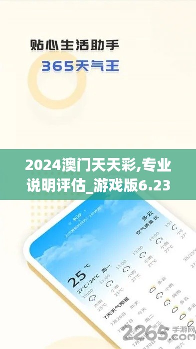 2024澳门天天彩,专业说明评估_游戏版6.235