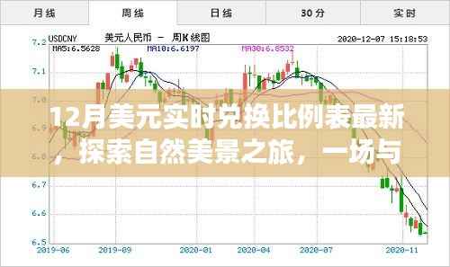 最新美元实时兑换比例表,探索自然美景之旅的货币指南