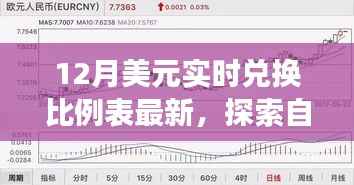 最新美元实时兑换比例表,探索自然美景之旅的货币指南