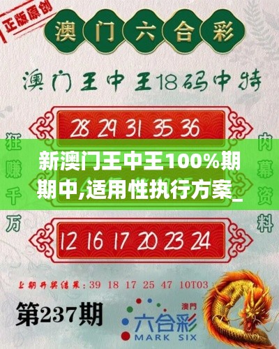 新澳门王中王100%期期中,适用性执行方案_黄金版14.860