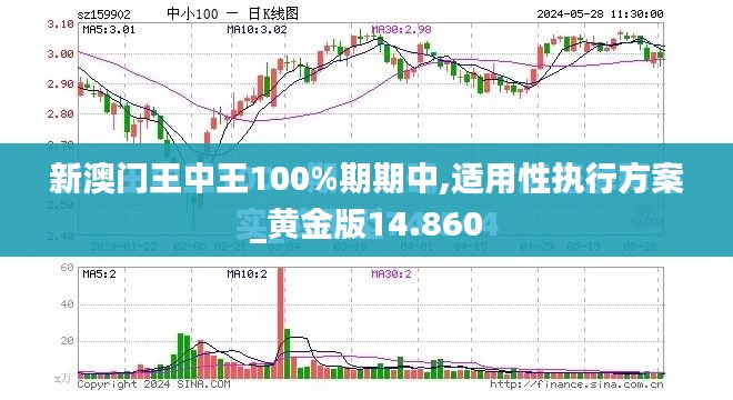 新澳门王中王100%期期中,适用性执行方案_黄金版14.860