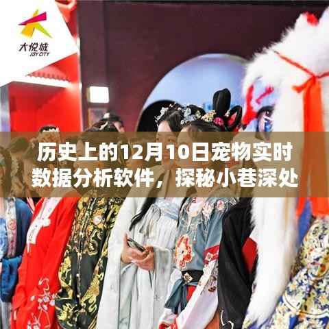 探秘宠物数据宝藏,揭秘12月10日宠物实时数据分析软件的传奇故事