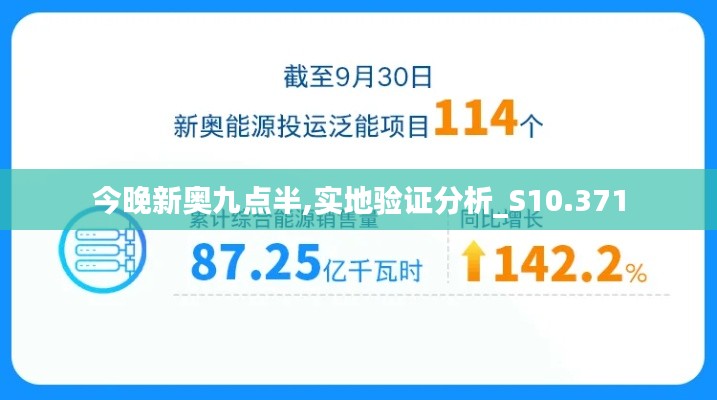 今晚新奥九点半,实地验证分析_S10.371
