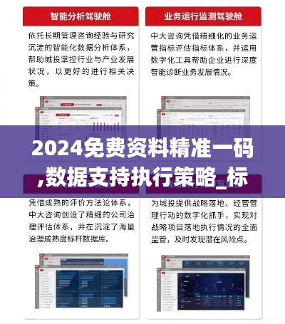 2024免费资料精准一码,数据支持执行策略_标准版6.420