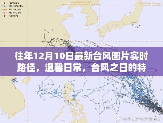 往年12月10日台风实时路径图片,特殊轨迹与友情连线下的温馨日常