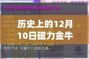 历史上的12月10日磁力金牛实时概览与深度解读,影响与启示的探讨