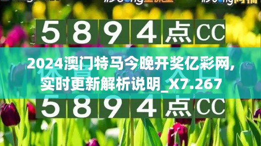 2024澳门特马今晚开奖亿彩网,实时更新解析说明_X7.267