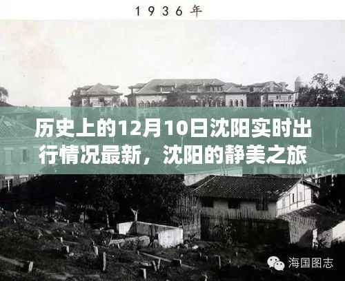 沈阳历史与现实交融的静美之旅,探寻自然美景的心灵之旅(实时出行情况更新)