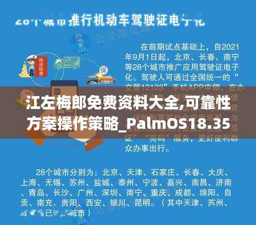 江左梅郎免费资料大全,可靠性方案操作策略_PalmOS18.357