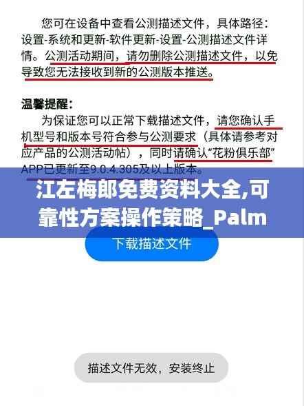江左梅郎免费资料大全,可靠性方案操作策略_PalmOS18.357