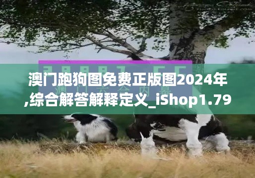 澳门跑狗图免费正版图2024年,综合解答解释定义_iShop1.791