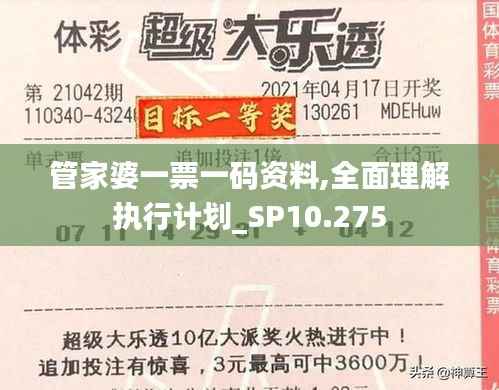 管家婆一票一码资料,全面理解执行计划_SP10.275