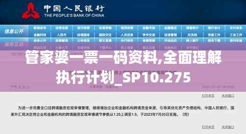 管家婆一票一码资料,全面理解执行计划_SP10.275