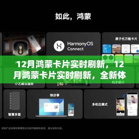 12月鸿蒙卡片实时刷新,全新体验与深度解析