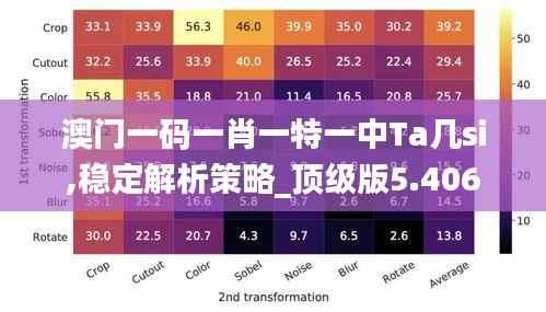澳门一码一肖一特一中Ta几si,稳定解析策略_顶级版5.406