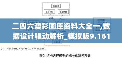 二四六澳彩图库资料大全一,数据设计驱动解析_模拟版9.161