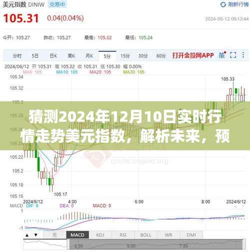 观点碰撞与个人立场,解析未来,预测2024年美元指数走势及未来行情展望