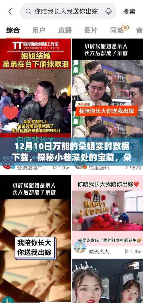 朵姐数据小铺的奇妙之旅,探秘小巷深处的宝藏与实时数据下载