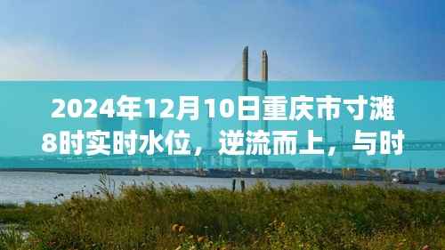 逆流而上,与时俱进,重庆市寸滩水位变迁中的励志故事