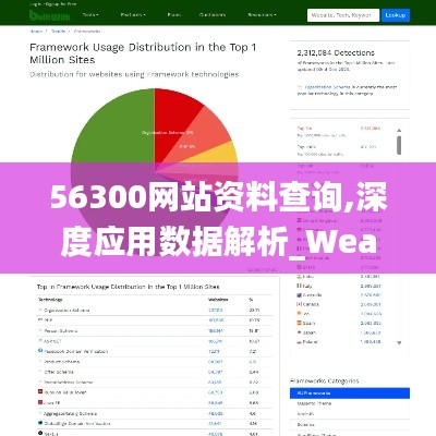 56300网站资料查询,深度应用数据解析_WearOS2.325