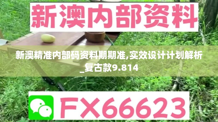 新澳精准内部码资料期期准,实效设计计划解析_复古款9.814