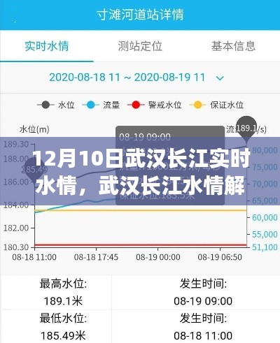 武汉长江水情动态解析,聚焦实时水情动态报告(以12月10日为例)