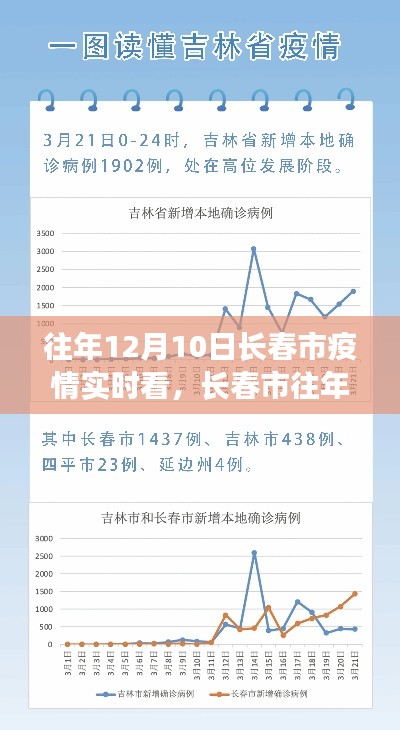 长春市往年12月10日疫情实时查看攻略,掌握最新动态全面指南