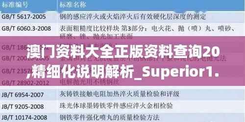 澳门资料大全正版资料查询20,精细化说明解析_Superior1.689
