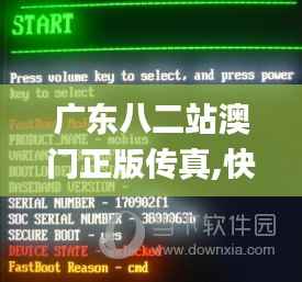 广东八二站澳门正版传真,快捷解决方案_Holo4.152