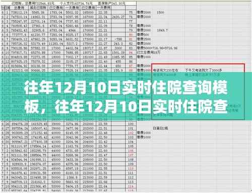 往年12月10日实时住院查询模板,应用与深度影响探讨