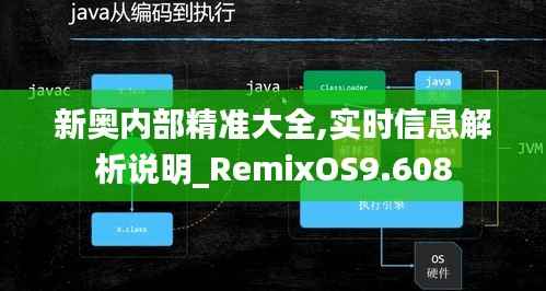 新奥内部精准大全,实时信息解析说明_RemixOS9.608