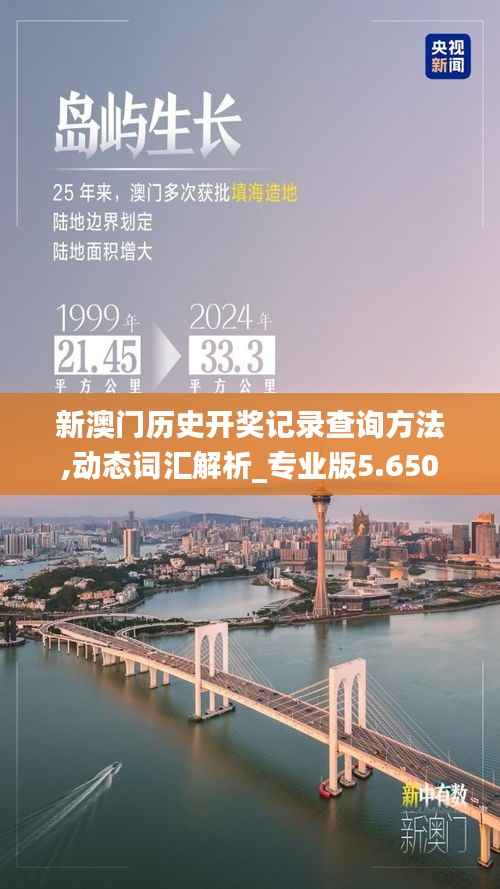 新澳门历史开奖记录查询方法,动态词汇解析_专业版5.650
